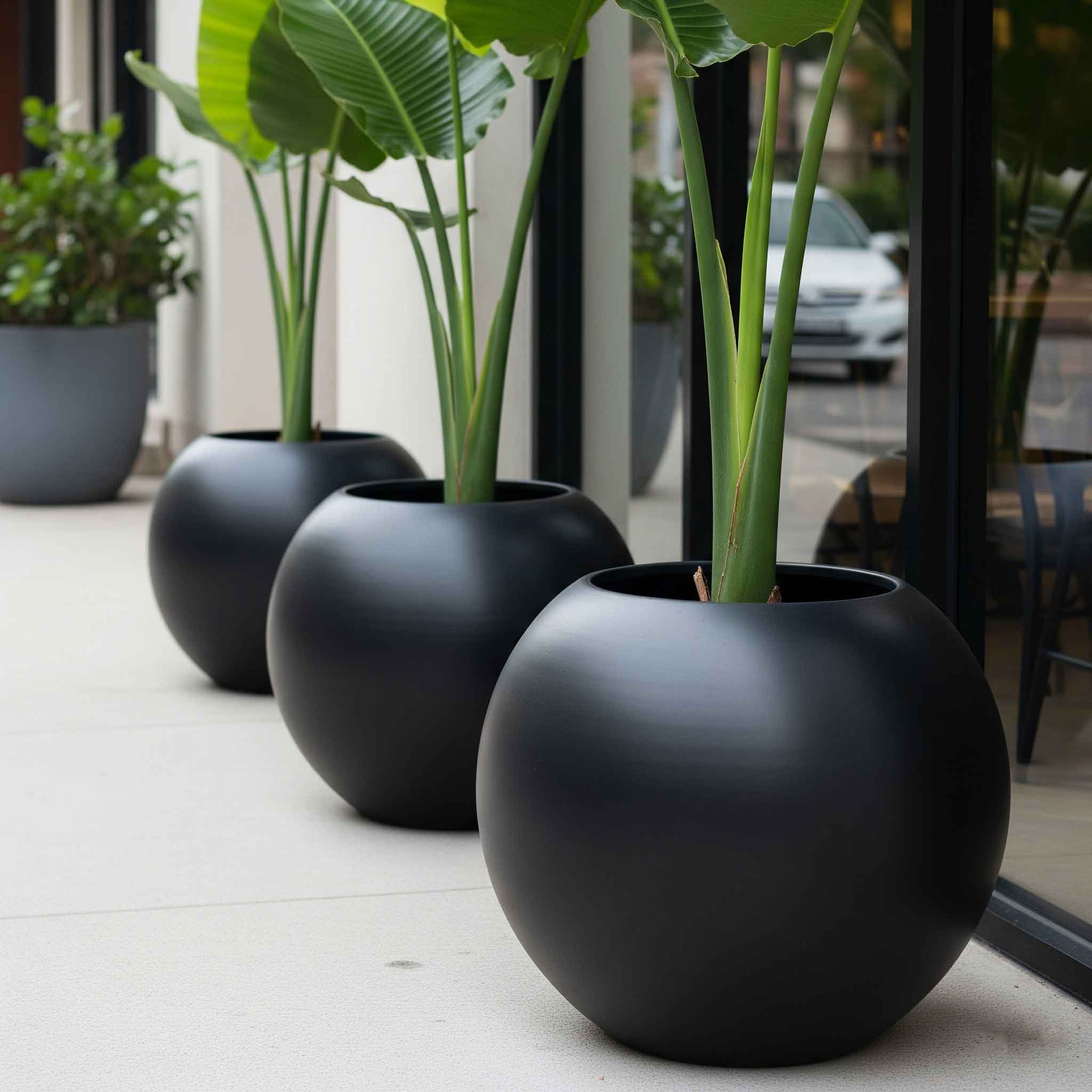 Aura Sphere Fiber Küre Saksı – Orta Boy – Siyah