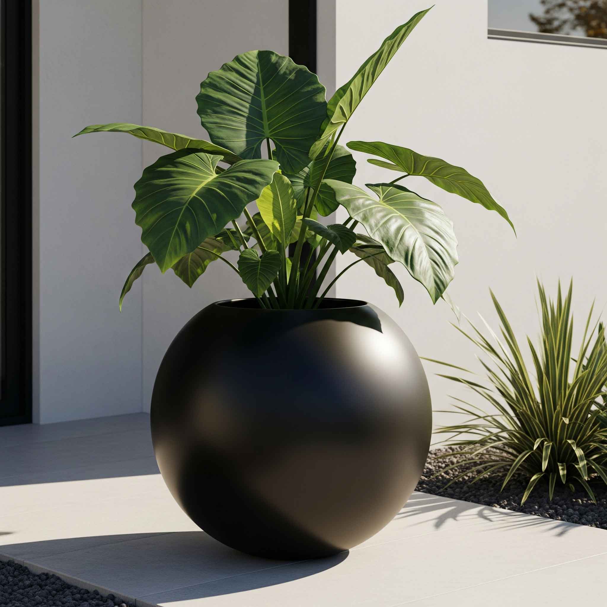 Aura Sphere Fiber Küre Saksı – Orta Boy – Siyah