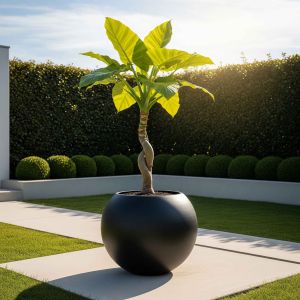 Aura Sphere Fiber Küre Saksı – Büyük Boy – Siyah