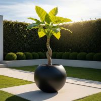 Aura Sphere Fiber Küre Saksı – Büyük Boy – Siyah