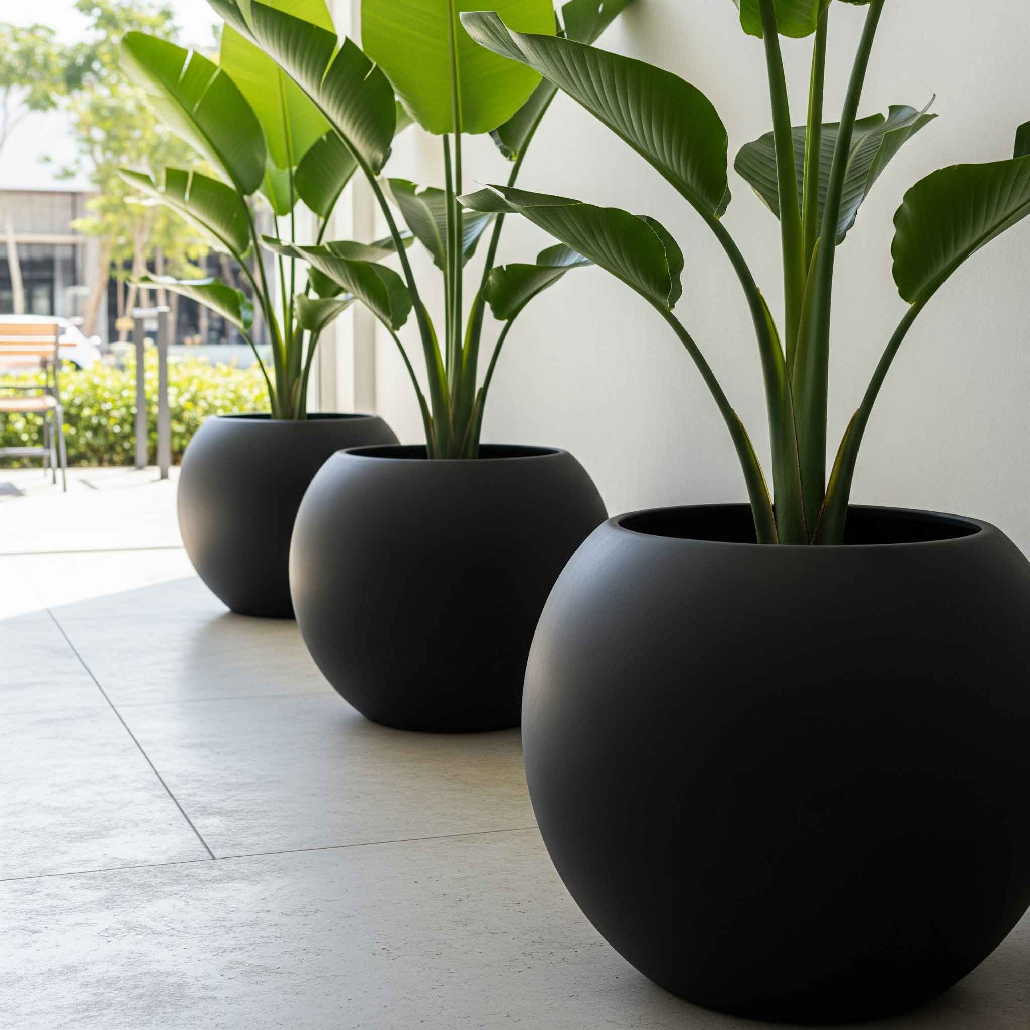 Aura Sphere Fiber Küre Saksı – Orta Boy – Siyah