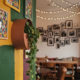 Nis-Mercan-40x15-003